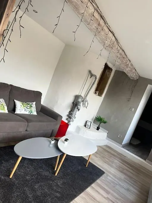 Appartement De Caractere Irigny 0*,  France